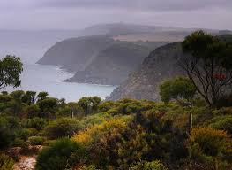 Wet And Wild Coast Kangaroo Island South Australia Places To Go Kangaroo Island Wet And Wild