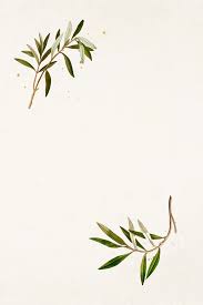 Pin On Wallpapers