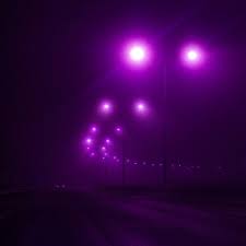 Dark Purple Lights