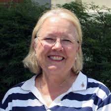 Delaplane declines third commissioner term