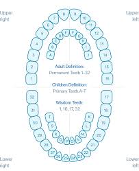 Dental Terms Online Dentist Consultation Emergency