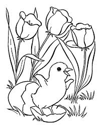 Download gambar hewan untuk lomba mewarnai gambar peternakan mewarnai gambar via mewarnaigambar.web.id. Koleksi 19 Mewarnai Gambar Anak Ayam Menetas Kataucap