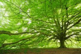 Maybe you would like to learn more about one of these? Four Seasons Tree Care Ltd Linkedin