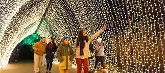 Maybe you would like to learn more about one of these? Best Spots For Christmas Lights In Chicago 2020 Holiday Displays Events