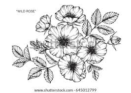 Signup for free weekly drawing tutorials. Love Flower Drawing At Getdrawings Free Download