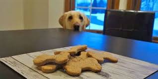 Giada de laurentiis shares her favorit. Homemade Low Fat Dog Treat Recipe My Dog S Name