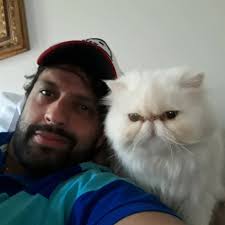 gatil Malak (@malakgatil) • Instagram photos and videos