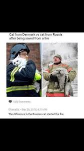 Only In Russia Funny Memes 9gag Funny Stupid Funny Memes Funny Dog Memes