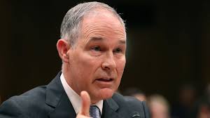 Michael Echon (@mike_echon)