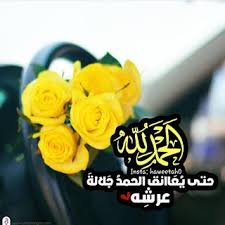 صور الحمدلله 2021 اجمل رمزيات مكتوب عليها الحمد لله rose flowers plants