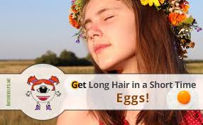 Natural hair care tips, home remedies for hair growth: Diy Egg Mask Natural Treatment For Dry Damaged Hair