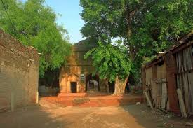 Princess Zeb-un-Nisa: Rebel Sufi ...