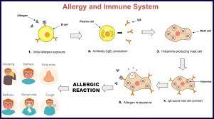6 Best Homeopathic Medicines For Allergic Rhinitis Treatment Allergic Rhinitis Homeopathic Medicine Itchy Nose