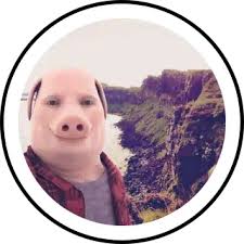 John Pork facetime Filter by manfreed 💫