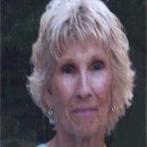 Nancy Ann Shively Obituary