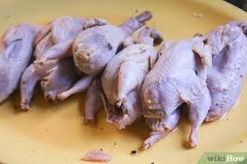 La codorniz es un ave de pequeño tamaño y parecida a la perdiz, pero más pequeña, hasta el punto que se puede confundir la codorniz con los polluelos de perdiz. 3 Formas De Cocinar Codornices Wikihow