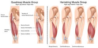 Surgical Treatment For Patellofemoral Pain Syndrome