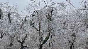 Maybe you would like to learn more about one of these? Ice Storm Warning Issued For Portland Vancouver Areas Kgw Com