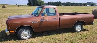 Image result for Mink Brown 1984 Dodge
