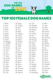 So if you're looking for a name for your new female dog you've come to the right place. Cute Names For Pets Girl