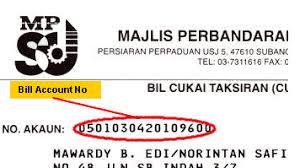 Ditubuhkan pada 1 julai 1992 dan diisytiharkan sebagai bandar bunga tanjung pada 16 ogos 1993. Assessment And Quit Rent