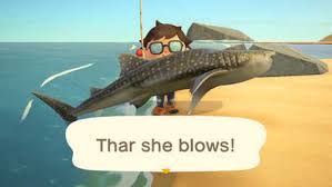 I caught a football fish! Acnh Fish Prices Fish Money Making Guide Animal Crossing New Horizons Switch Game8