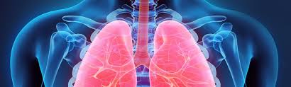 What are the potential concerns with lung cancer screening? Ldct Hamilton Diagnostics Lung Cancer Screening Dalton Hamilton Health Care System