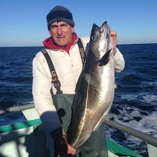 Image result for viking fleet fishing reports