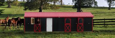 We did not find results for: Deluxe Horse Barns Raber Portable Storage Barns