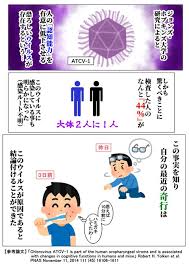 Originally a contraction of いらせらる (iraseraru), itself an honorific conjugation of 入ら (ira, the 未然形 (mizenkei, imperfective) of verb iru, to come in, to go in; ã„ã‚‰ã™ã¨ã‚„ ã‚'å«ã‚€ãƒžãƒ³ã‚¬ä¸€è¦§ ãƒ„ã‚¤ã‚³ãƒŸ ä»®