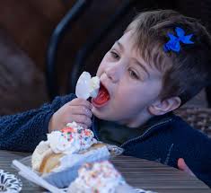 Ice Cream for Breakfast Day celebrated across Lancaster County [photos]