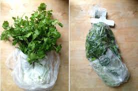 Kitchen Tip: How To Store Fresh Parsley, Cilantro And Other Herbs -  Philadelphia Magazine
