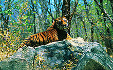 Wildlife Of Kerala Wikipedia Map showing the wildlife sanctuaries and national parks of kerala. wildlife of kerala wikipedia