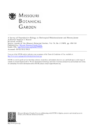 Image result for Dissotis longisepala