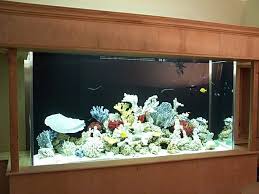 Aquariums Aquariums For Sale Aquarium Big Fish Tanks