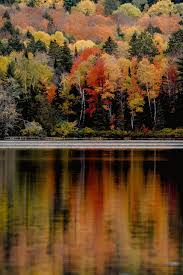 Meadowlark park midnapore millrise mission monterey park montgomery mount pleasant. Rv Camping Near Beavers Bend State Park Cruise America