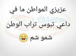 موجة الغبار تشعل مواقع التواصل الاجتماعي بالتعليقات الساخرة صور arabic calligraphy calligraphy