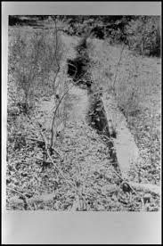 Image result for dip vat