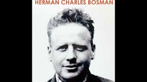 5 Stories van Herman Charles Bosman