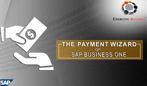 The Payment Wizard Of Sap B1 In 2020 How To Be Outgoing Business Read Business Process