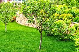 Maybe you would like to learn more about one of these? Landscaping Services In Qld Northern Nsw The Advanced Group