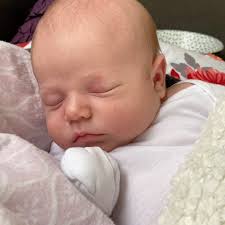 Kirk Moeller (@kirk_bear) · Instagram 照片和视频