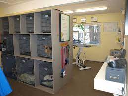 Pin By Stacey H Cook On Grooming Business Decor Dog Grooming Salons Dog Grooming Dog Grooming Shop