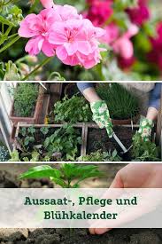Gartenkalender Aussaat Pflege Und Bluhkalender In 2020 Gartenkalender Pflanzen Pflege Garten