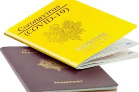 In theory, the covid passport essentially works by granting airlines, governments, laboratories, travellers and other relevant parties. Passeport Vaccinal Et Voyages Cet Ete Le Parlement Europeen Adopte Sa Position Et Plaide Pour Un