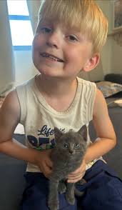 Meet fluffy 🐾❤🐾 love him so