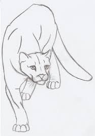 Mountain Lion Quick Sketch By Metalharpey On Deviantart Lion Drawing Lion Drawing Simple Lion Sketch
