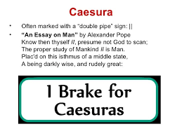 Caesura Poetic Techniques Writing Poetry Literary Terms