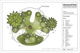 Spacing of fruit and nut trees in orchard or food forest. Apple And Pear Guild Around Pre Existing Park Trees Tree Guild Fruit Tree Guild Fruit Trees