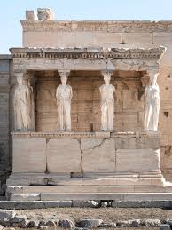 Image result for Acritochaete